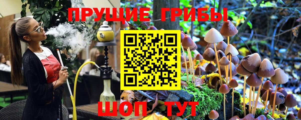 Галлюциногенные грибы MAGIC MUSHROOMS  Вход с VPN  Славянск-на-Кубани 