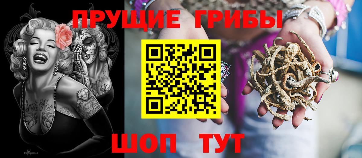 Псилоцибиновые грибы Psilocybine cubensis Славянск-на-Кубани