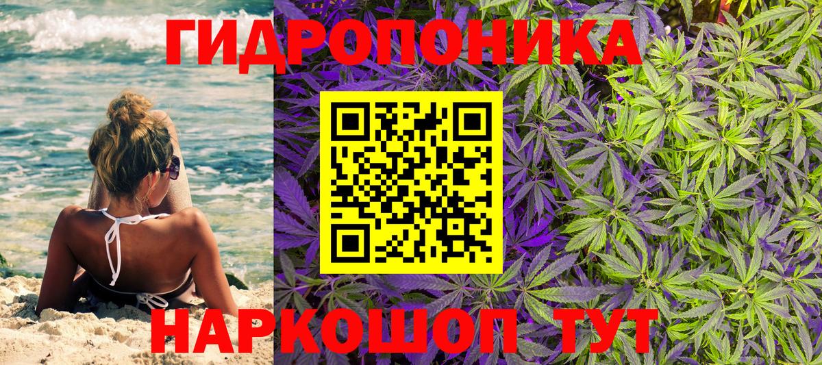 Канабис план  Шишки марихуана Ganja  Славянск-на-Кубани  Вход с VPN  Бошки Шишки Amnesia  Каннабис THC 21% 